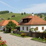 Marcin Horała gdzie mieszka